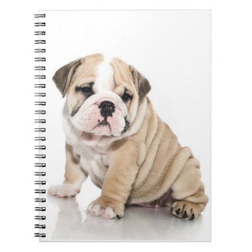 Cute Puppy Bulldog Sad Notebook