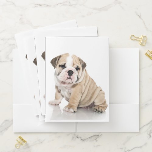 Cute Puppy Bulldog Sad Pocket Folder