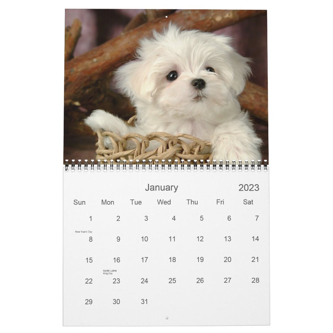 Cute Puppy Calendar Zazzle