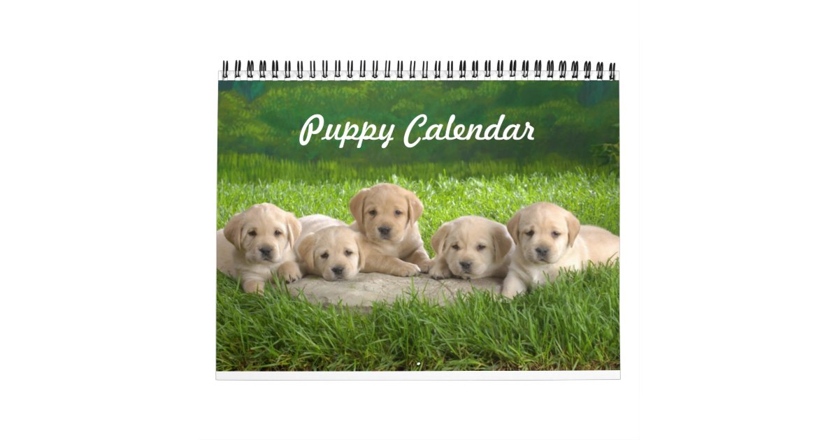 Cute Puppy Calendar Zazzle