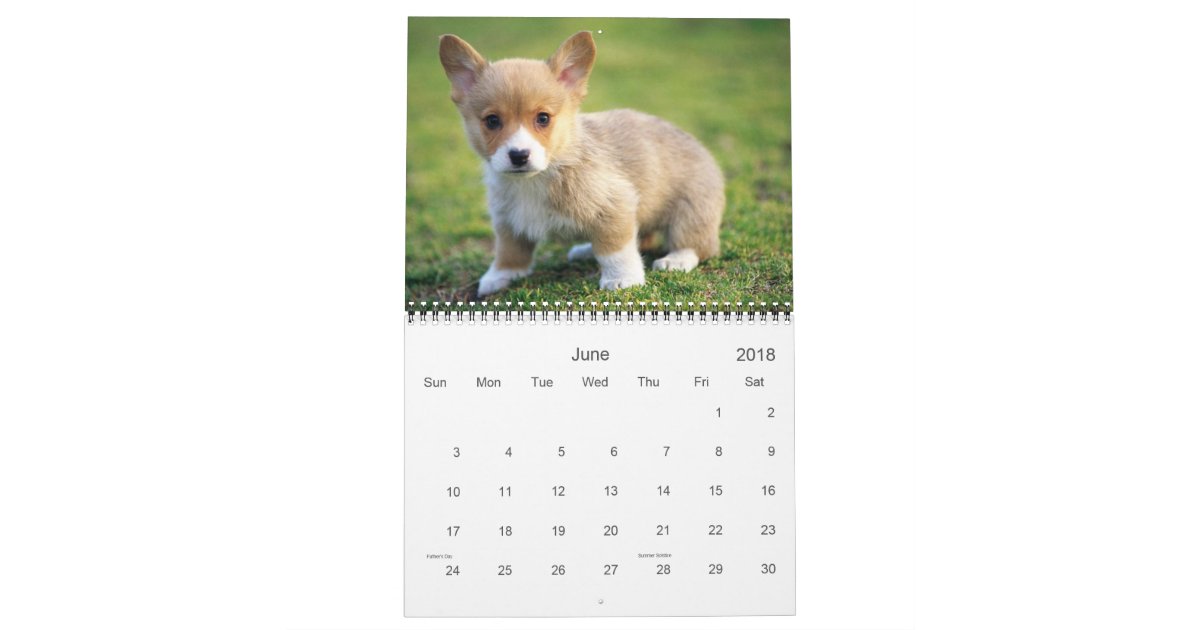 Cute Puppy Calendar Zazzle