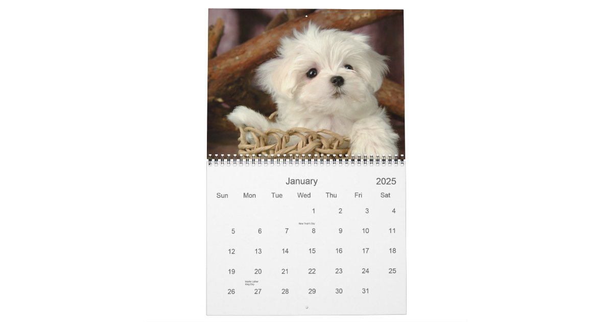 Cute Puppy Calendar Zazzle