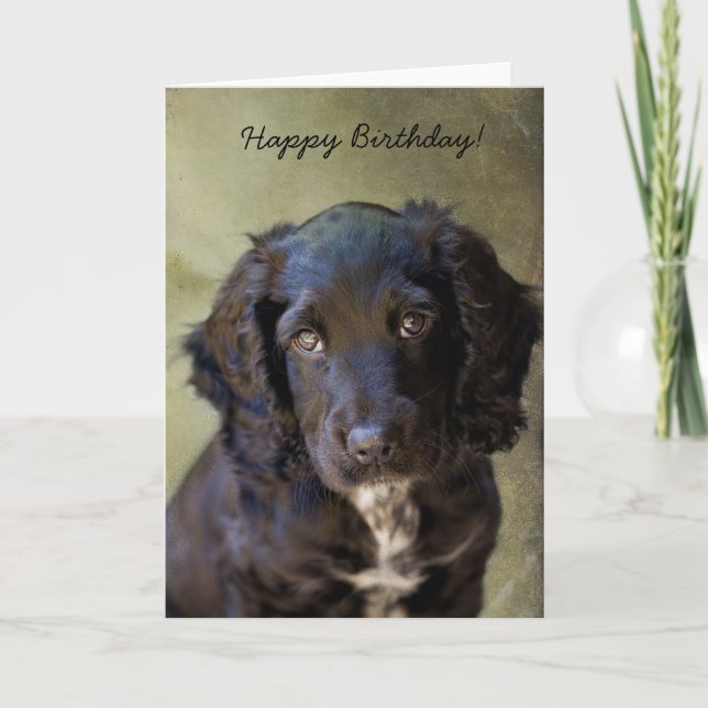Cute Puppy card (Front)