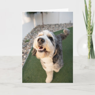 Cute Puppy Card