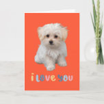 Cute puppy card, I love you, adorable puppy card<br><div class="desc">Cute puppy card,  adorable maltese puppy card with I love you text.
Suitable for birthdays,  Valentine's day,  anniversaries or any other occasions.</div>
