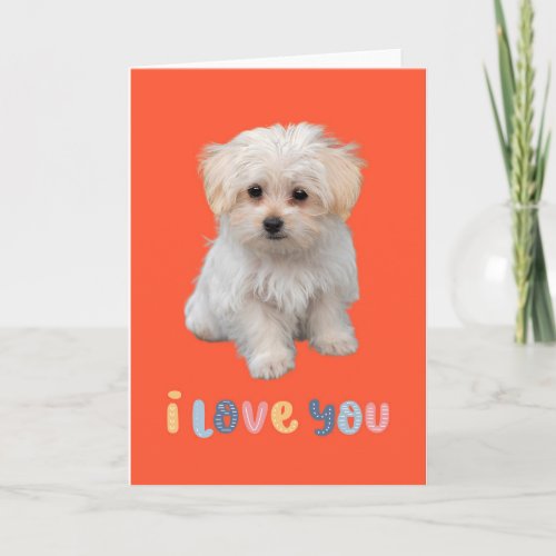 Cute puppy card I love you adorable puppy card