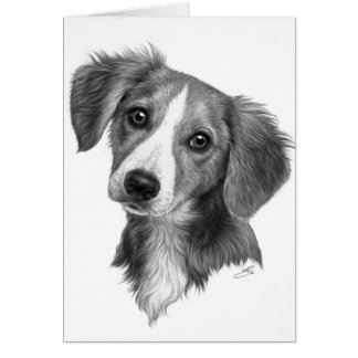 Cute Puppy! Cards