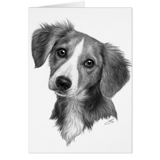 Cute Puppy! Cards (Front)