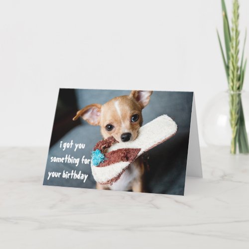 Cute Puppy Chihuahua Birthday from Dog Card
