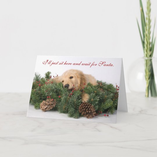 Cute Puppy Christmas card | Zazzle.com