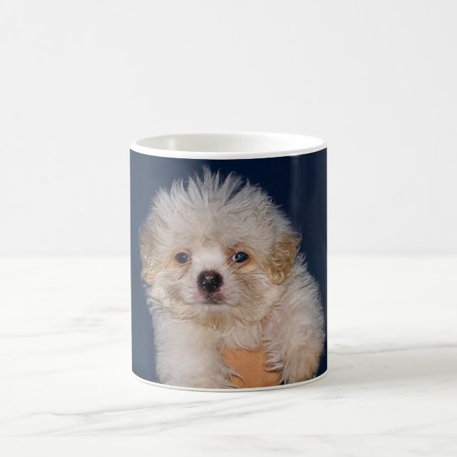 cute puppy coffee mug (Center)