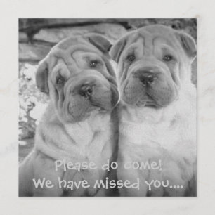 Cute Puppy Couple Personalized Party Invites
