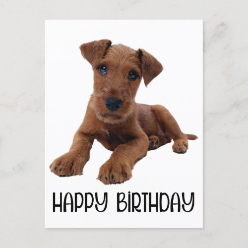 Cute Puppy Dog Airedale Terrier Birthday Postcard