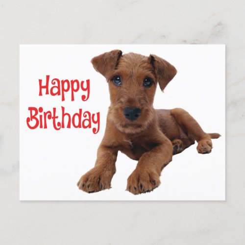 Cute Puppy Dog Airedale Terrier Birthday Postcard