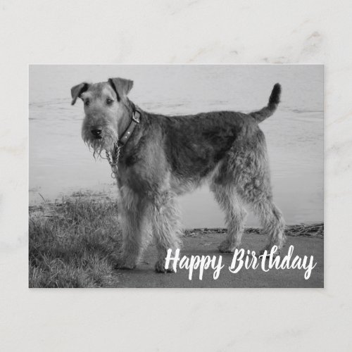 Cute Puppy Dog Airedale Terrier Happy Birthday Postcard