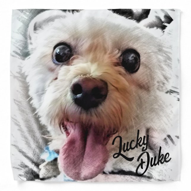 Cute Puppy/Dog Bandana Scarf (Front)