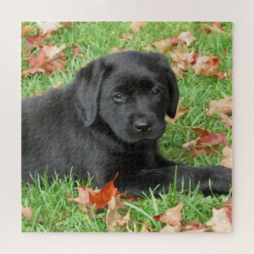 Cute Puppy Dog Black Labrador Retriever Jigsaw Puzzle