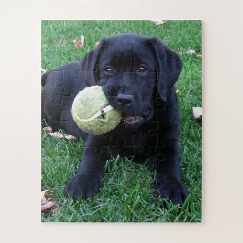 Cute Puppy Dog Black Labrador Retriever Jigsaw Puzzle