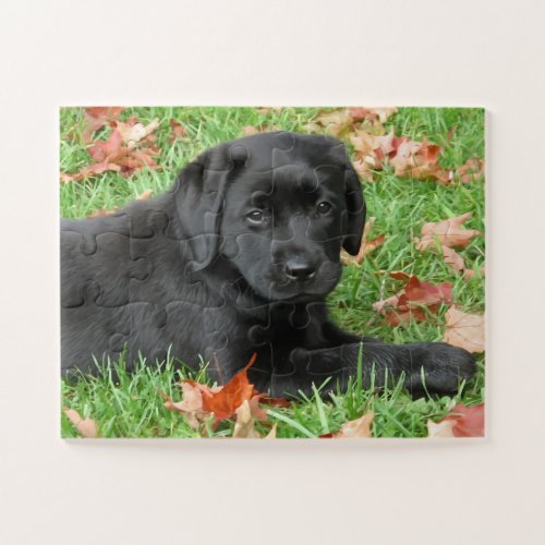 Cute Puppy Dog Black Labrador Retriever Jigsaw Puzzle