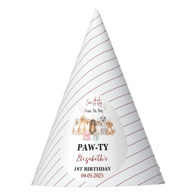 Cute Puppy Dog Boy 1st Birthday | Pawty Time First Party Hat (Front)