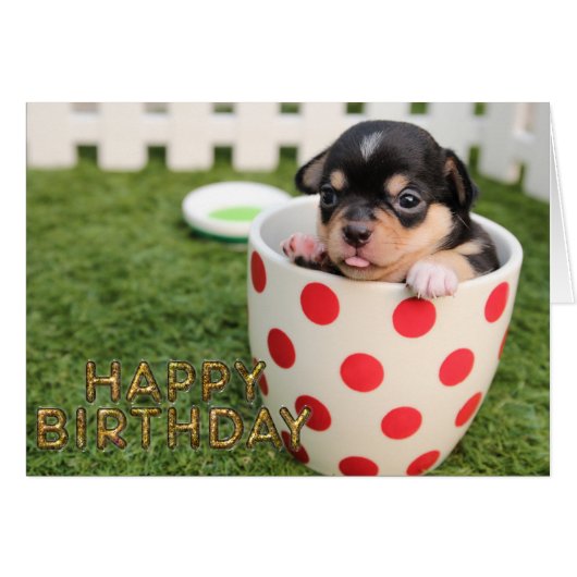 Cute puppy dog cards (Front Horizontal)