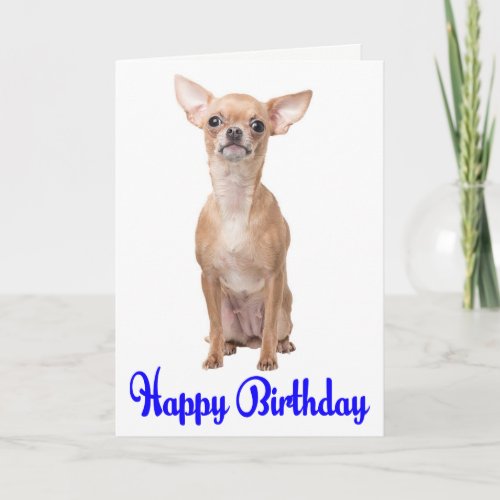 Cute Puppy Dog Chihuahua Happy Birthday Card