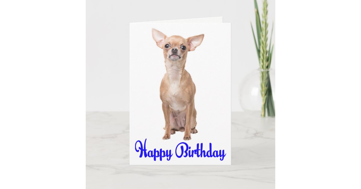Cute Puppy Dog Chihuahua Happy Birthday Card | Zazzle