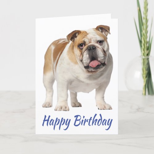 Cute Puppy Dog English Bulldog Birthday Card