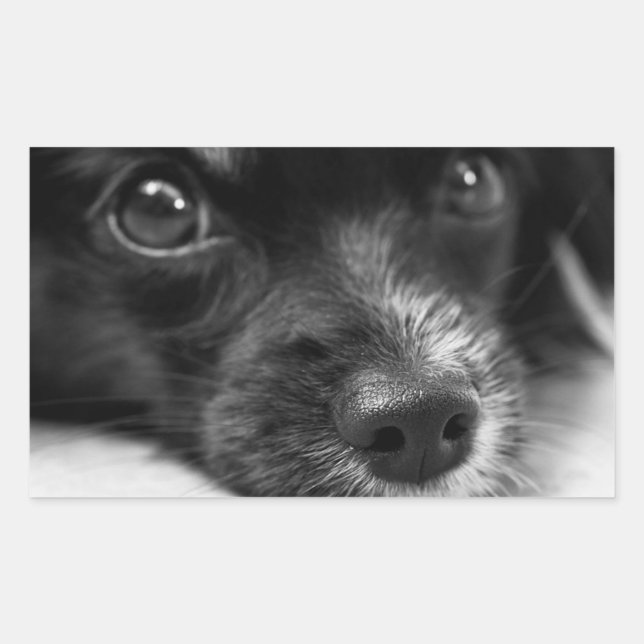 Cute Puppy Dog Face Sticker (Front)
