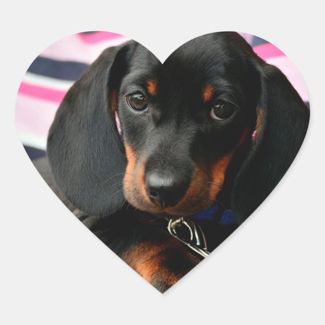 Cute Puppy Dog Face Sticker (Front)