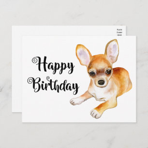 Cute Puppy Dog Funny Chihuahua Birthday Postcard