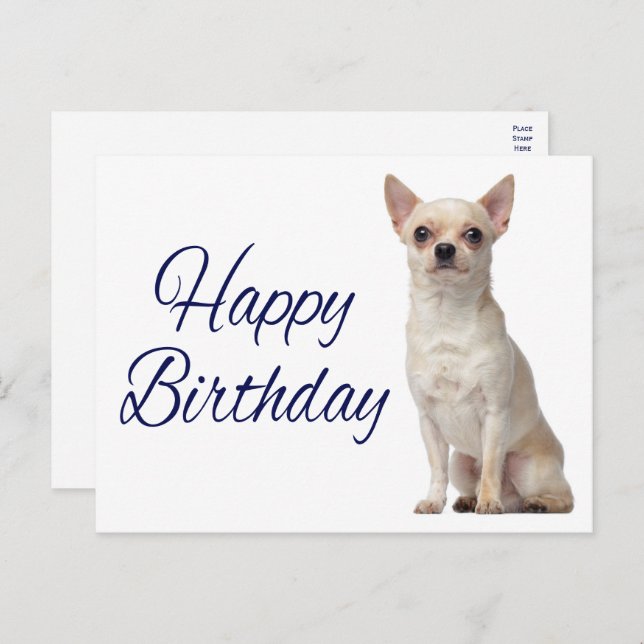 Cute Puppy Dog Funny Chihuahua Birthday  Postcard (Front/Back)