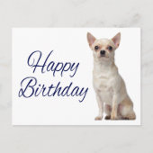 Cute Puppy Dog Funny Chihuahua Birthday  Postcard (Front)