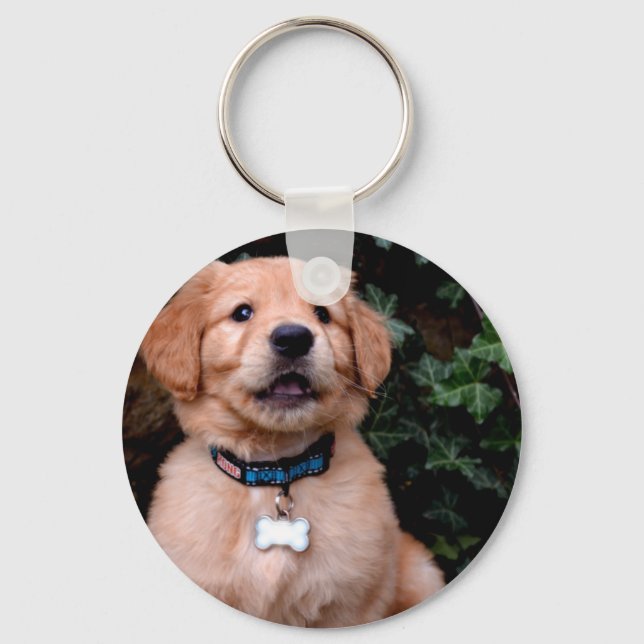 Cute puppy dog Golden Retriever Puppy Keychain (Front)