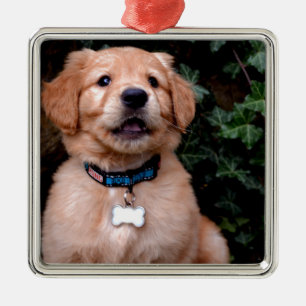 Cute puppy dog Golden Retriever Puppy Metal Ornament