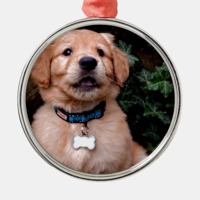 Cute puppy dog Golden Retriever Puppy Metal Ornament (Front)