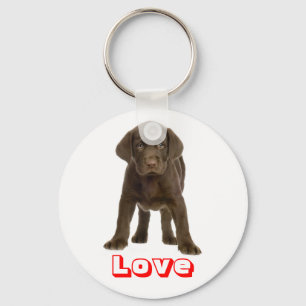Cute Puppy Dog Love Chocolate Labrador Retriever Keychain