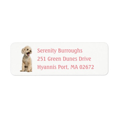 Cute Puppy Dog Lover Apricot Miniature Poodle  Lab Label