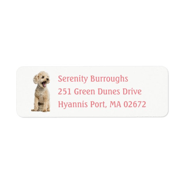 Cute Puppy Dog Lover Apricot Miniature Poodle  Lab Label (Front)