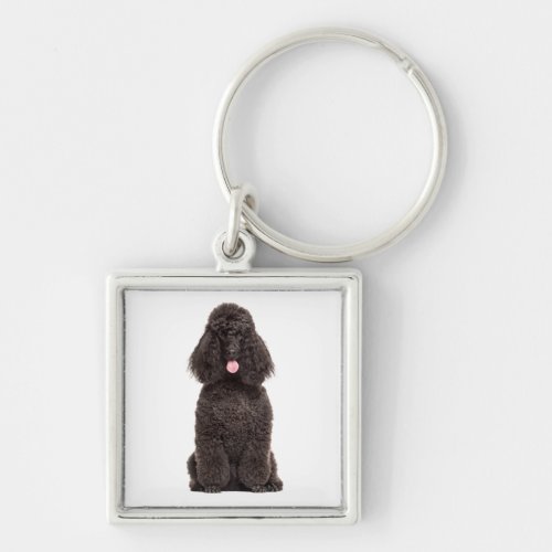 Cute Puppy Dog Lover Black Poodle Keychain