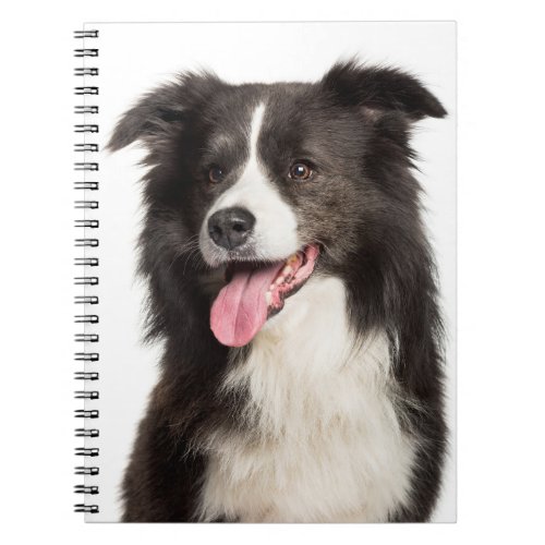Cute Puppy Dog Lover Border Collie Notebook