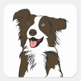 Cute Puppy Dog Lover Brown White Border Collie   Square Sticker