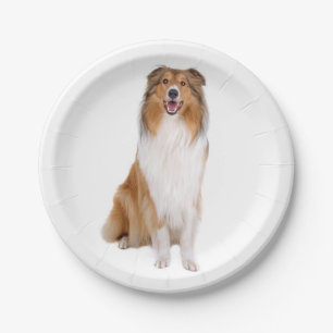 Cute Puppy Dog Lover Collie Paper Plates