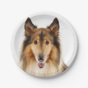 Cute Puppy Dog Lover Collie Paper Plates