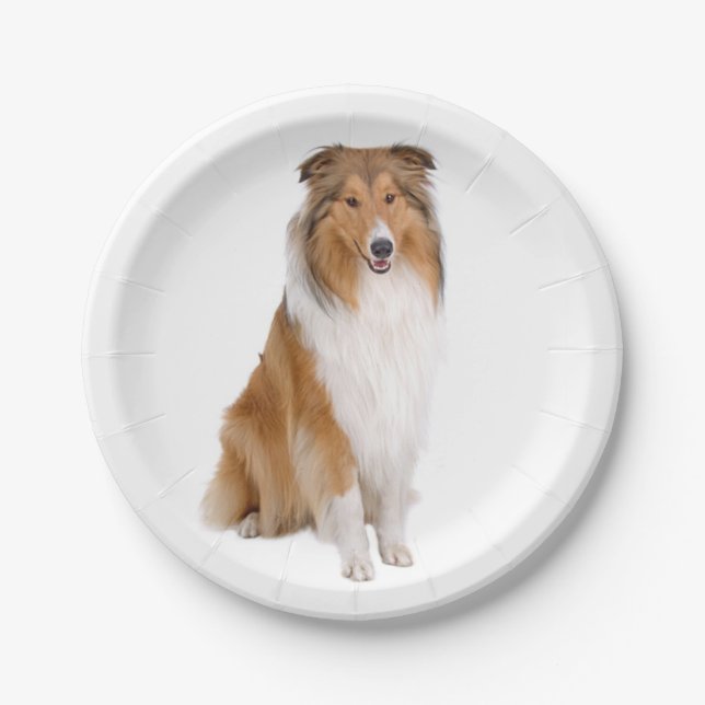 Cute Puppy Dog Lover Collie Paper Plates (Front)