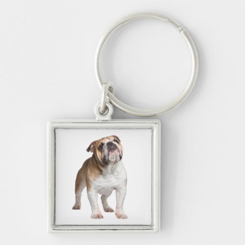 Cute Puppy Dog Lover Gift English Bulldog  Keychain