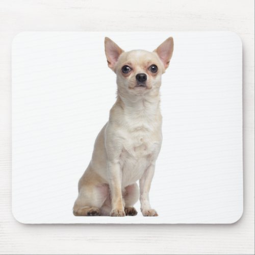 Cute Puppy Dog Lover Gift Funny Chihuahua Mouse Pad