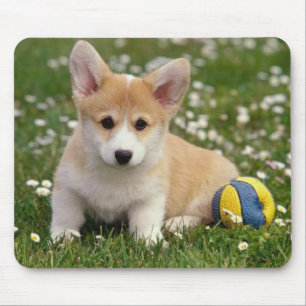 Cute Puppy Dog Lover Gift Pembroke Welsh Corgi Mouse Pad