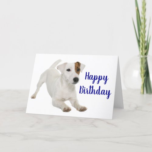 Cute Puppy Dog Lover Jack Russell Terrier Birthday Card