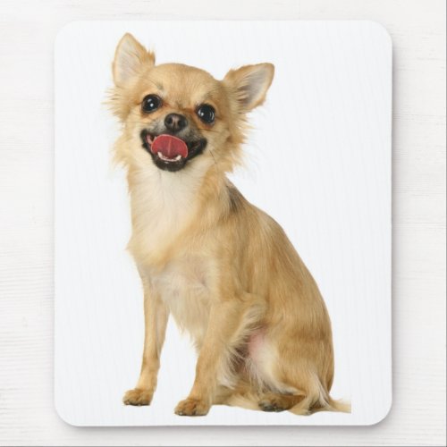 Cute Puppy Dog Lover Long Haired Chihuahua Mouse Pad